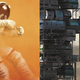 The Martian book cover reimagined by ormanator; Ready Player One book cover.